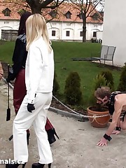 Male pony slaves outdoor